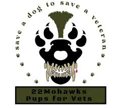 Pups%20for%20vets.jpg